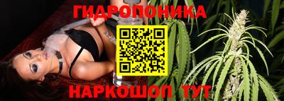 эйфоретик Ливны