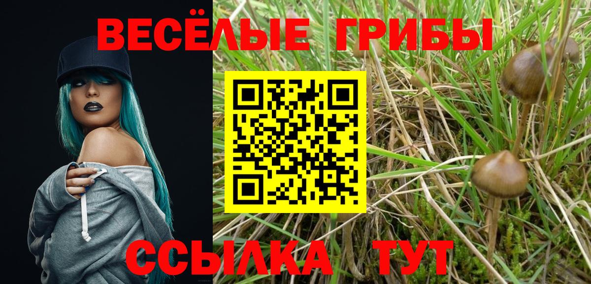 Зима  продажа наркотиков  Вход с VPN  Галлюциногенные грибы Cubensis  Псилоцибиновые грибы мицелий 