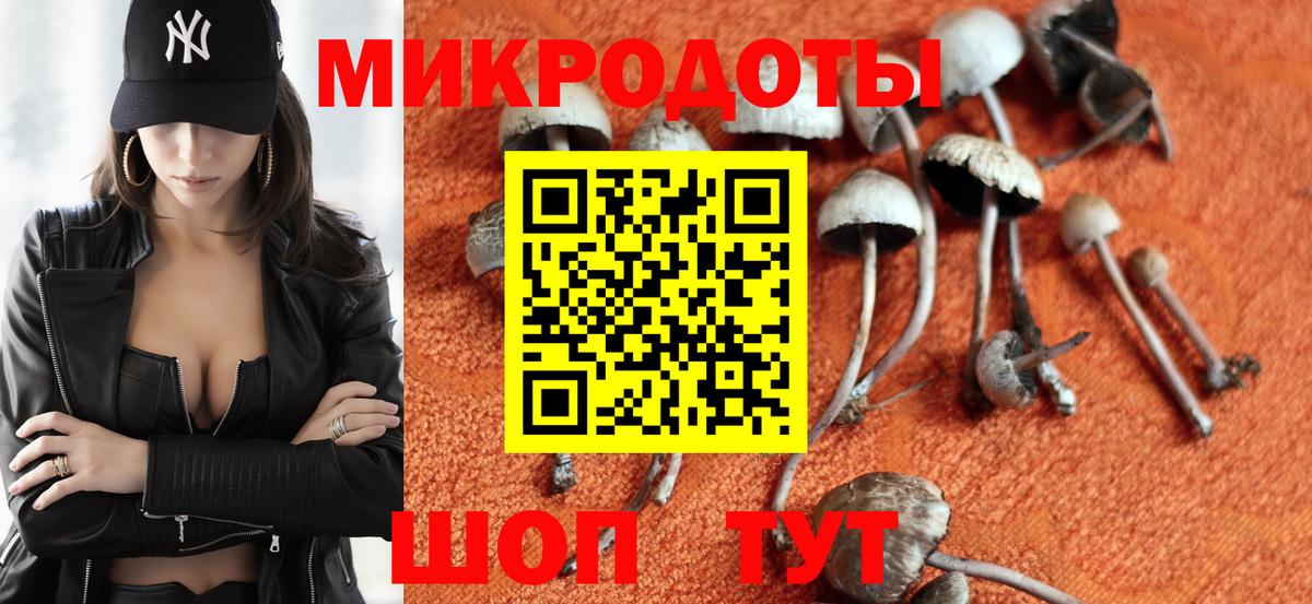 Галлюциногенные грибы GOLDEN TEACHER Зима